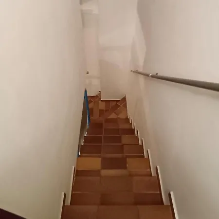 Landora Nummer 141 ビビオーネ