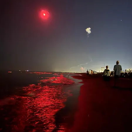 Landora Nummer 141 アパート