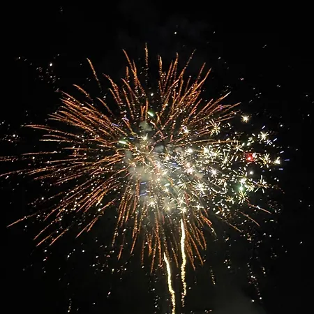 Landora Nummer 141 *