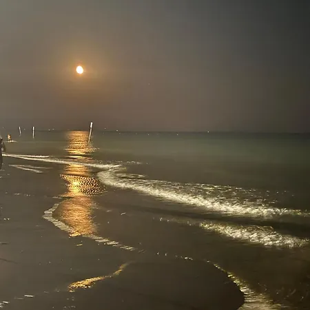 Landora Nummer 141 *