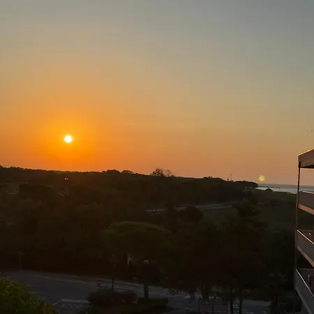 Landora Nummer 141 ビビオーネ