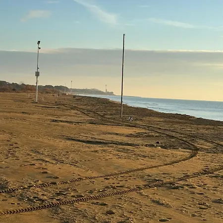 Landora Nummer 141 *