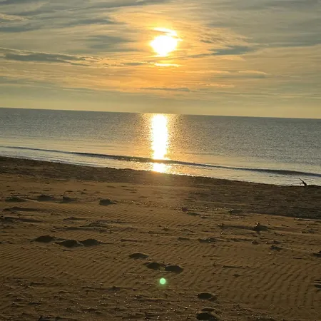 Landora Nummer 141 Daire *