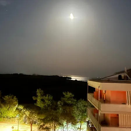 Landora Nummer 141 *