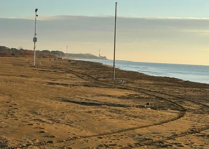 Landora Nummer 141 *