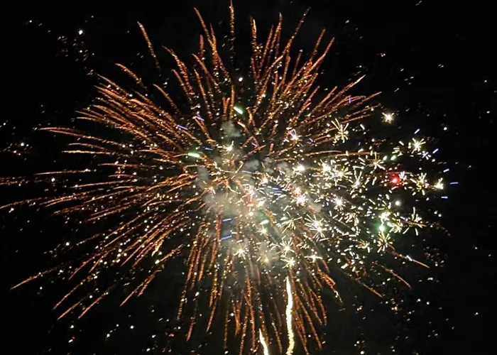 Landora Nummer 141 *