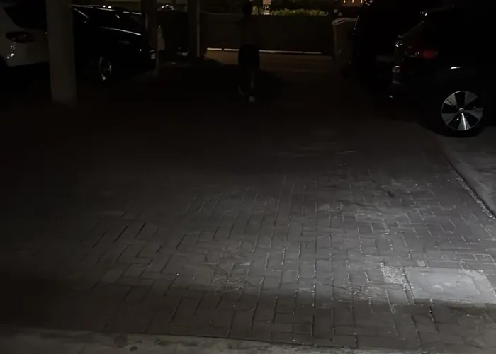 Landora Nummer 141 بيبيوني