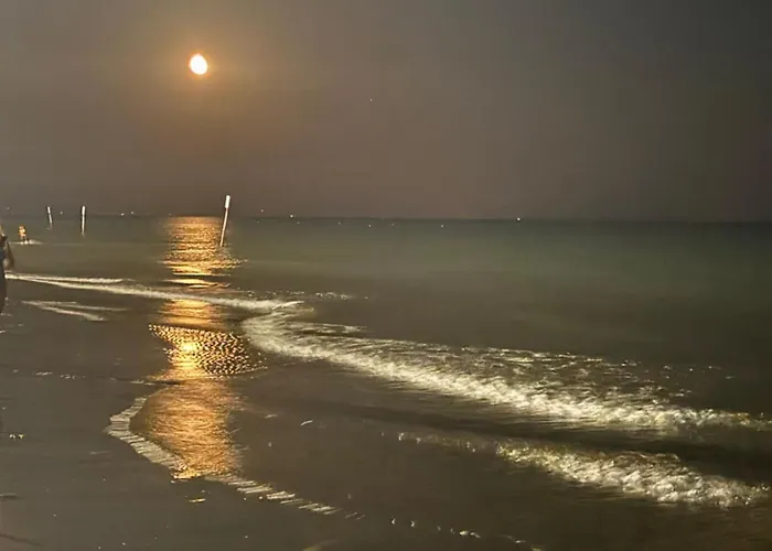 Landora Nummer 141 *