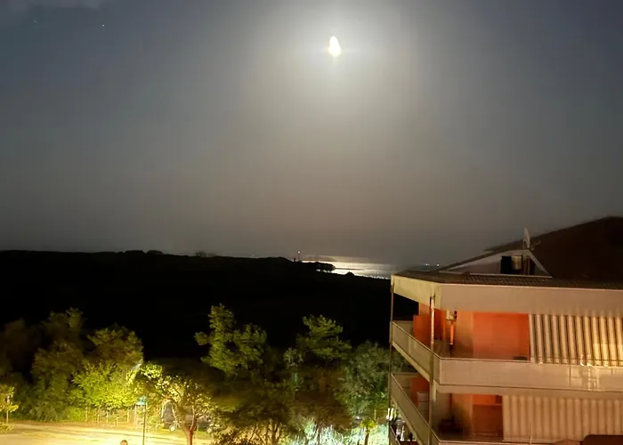 Landora Nummer 141 *